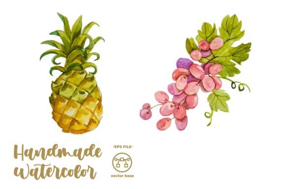 h1Watercolor Fruit Grape and Pineapple Illustrations for Branding and Marketing Visuals/h1
